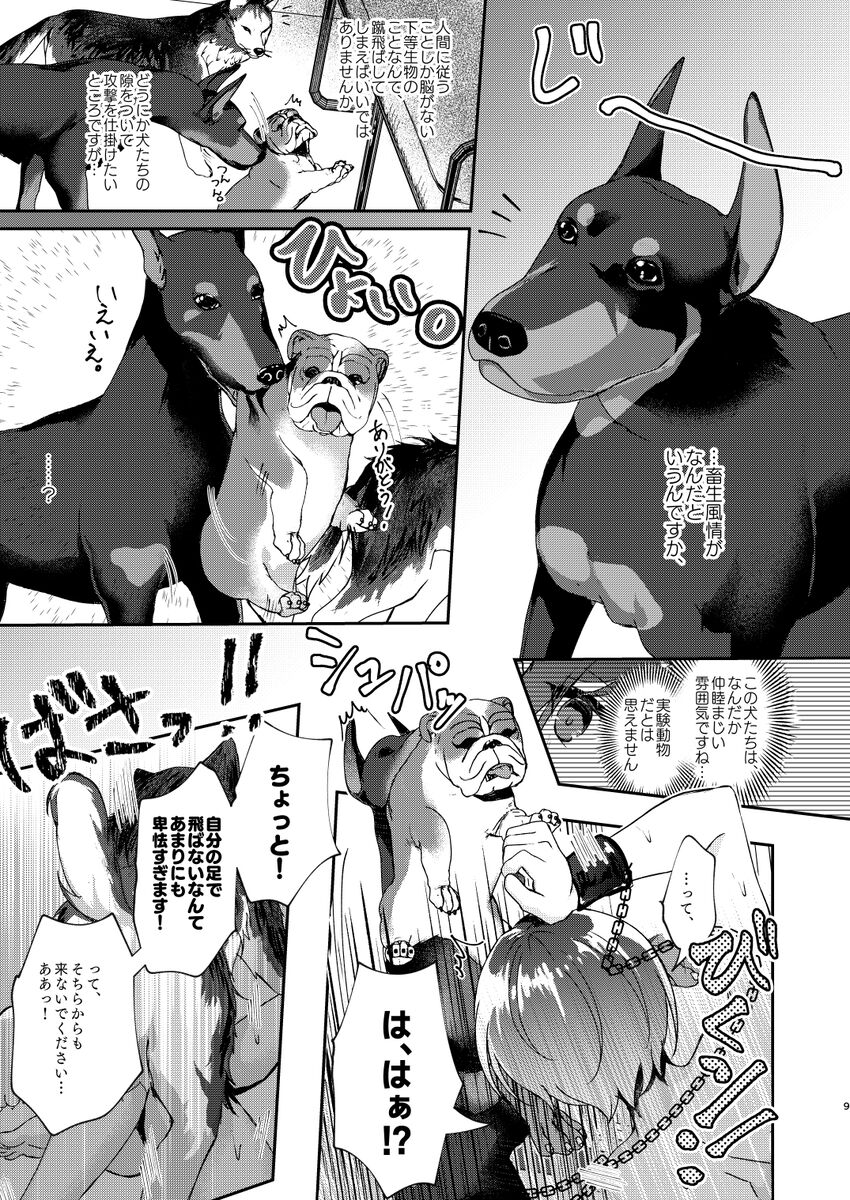 I don't approve of crossbreeding with dogs! page 7 full