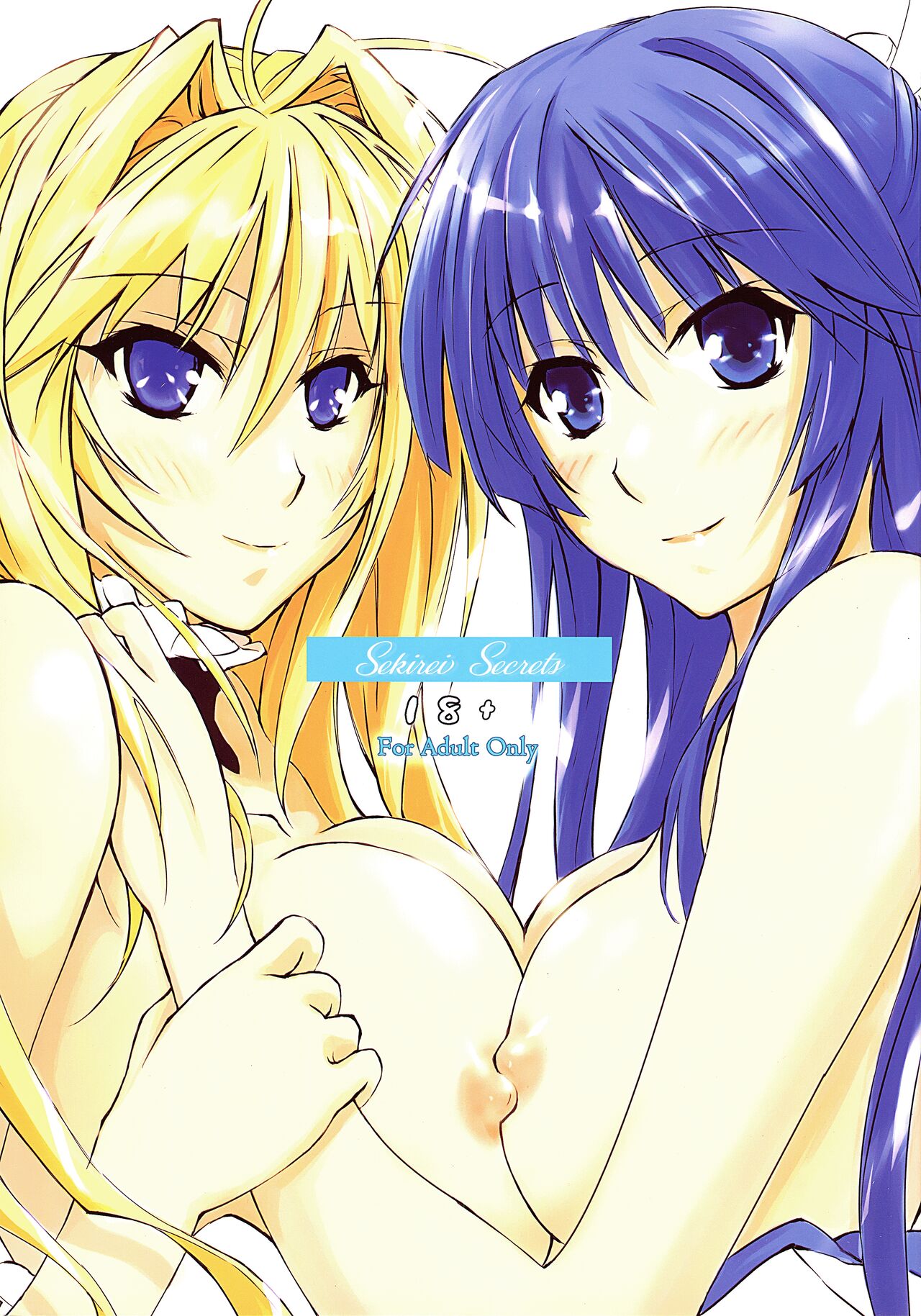 Sekirei no Himegoto | Sekirei Secrets page 1 full