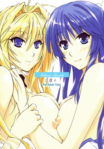 Sekirei no Himegoto | Sekirei Secrets cover
