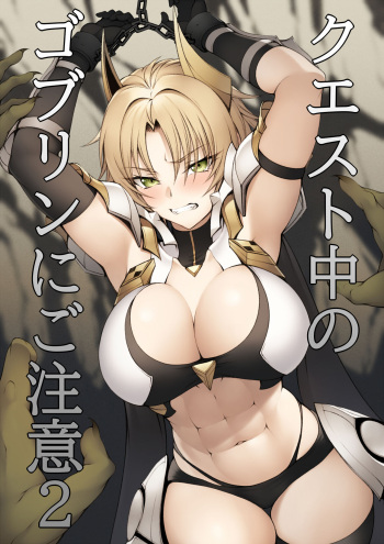 Quest-chuu no Goblin ni Gochuui 2 cover