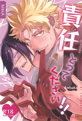 Sekinin Totte Kudasai!! cover