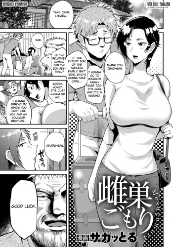 Mesugomori cover