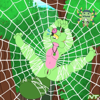 Web'd cover