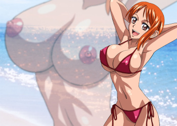 Nel-Zel Formula Nami cover