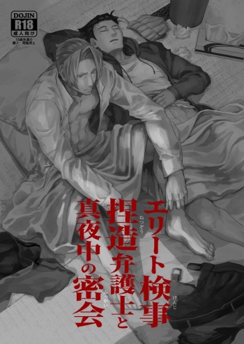 Elite kenji netsuzou bengoshi to mayonaka no mikkai cover