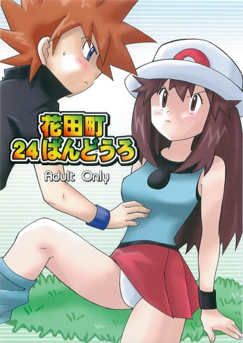 Cerulean City Route 24 cover