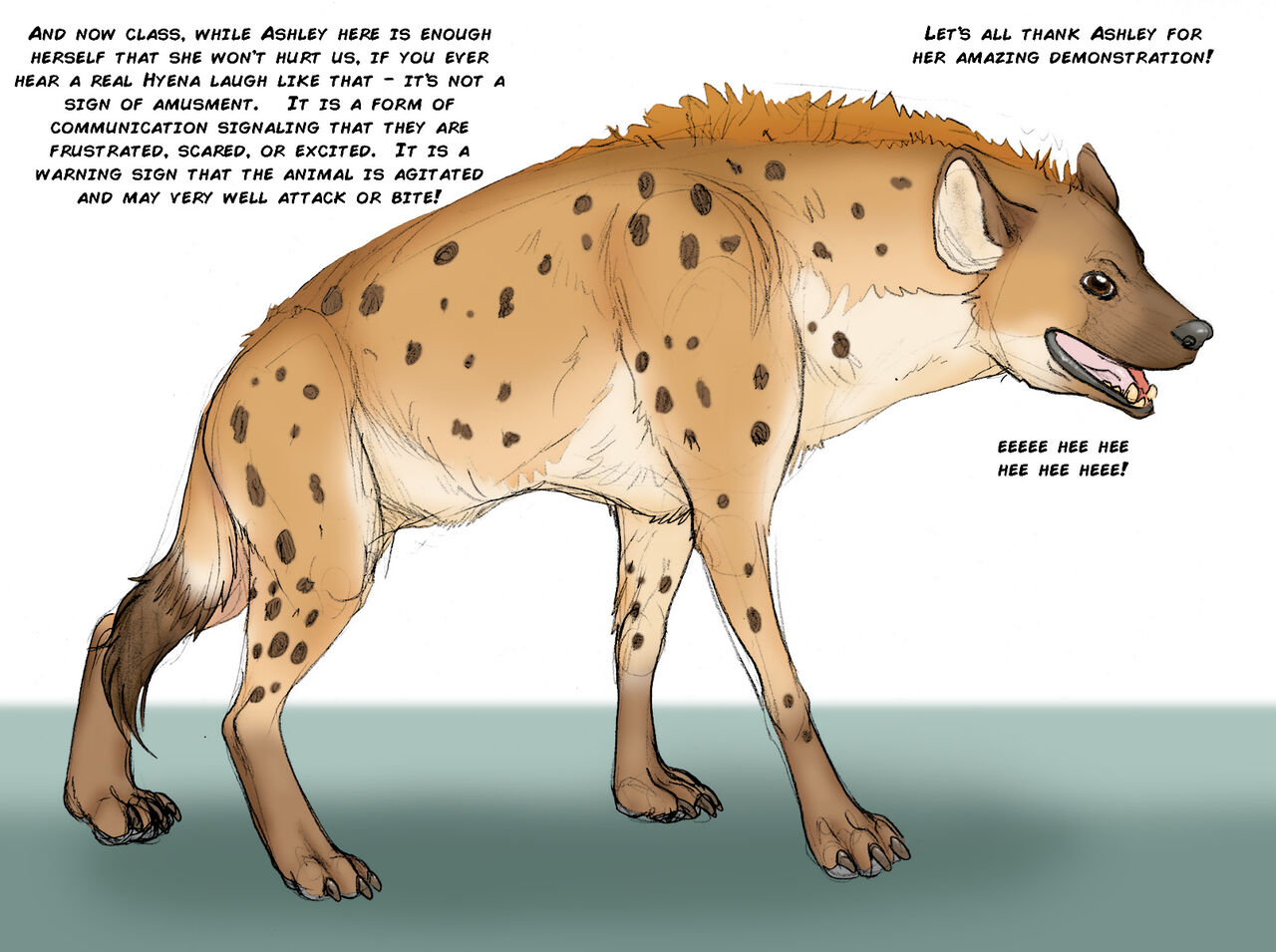 Female Spotted Hyena Lesson page 9 full