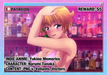 Narumi Night Dress cover