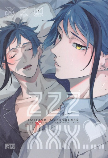 ZZZ XXX... cover