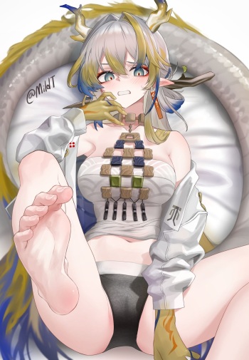 Shu 12P cover
