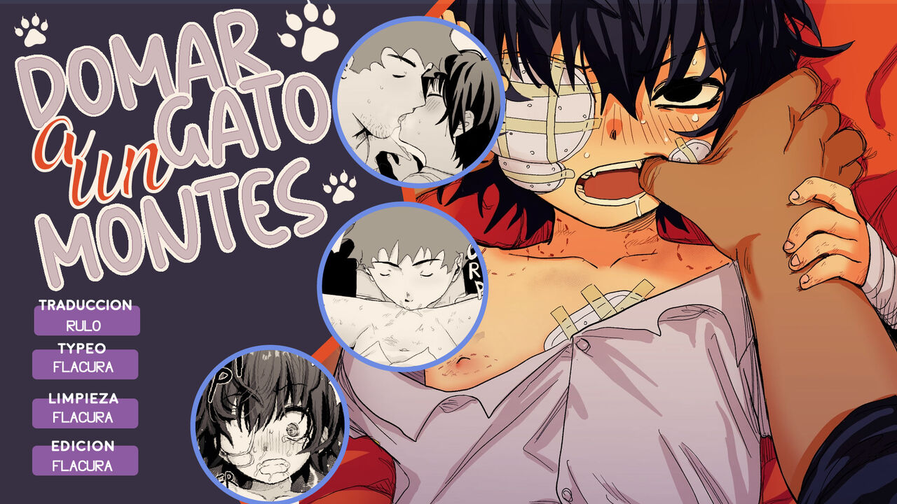 Taming A Wildcat page 2 full