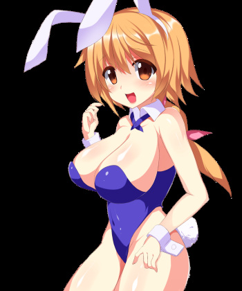 my bunny girl collection 1 cover