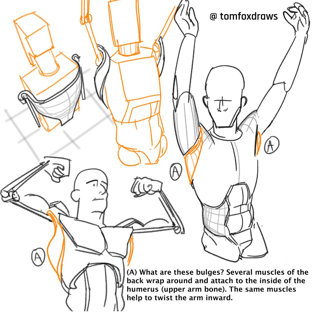 tomfox draws page 3 full