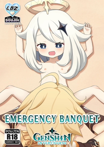 Emergency Banquet cover