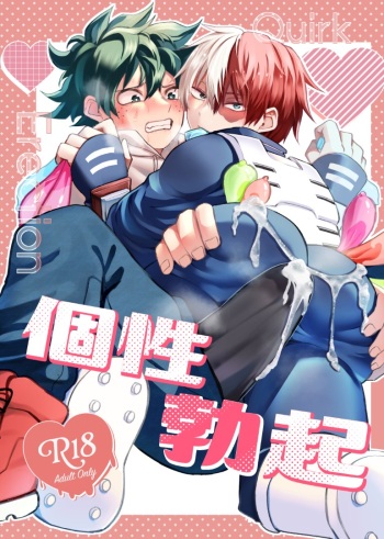 Quirk Erection cover