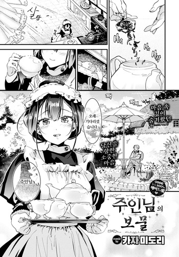 Goshujin-sama no Takaramono cover