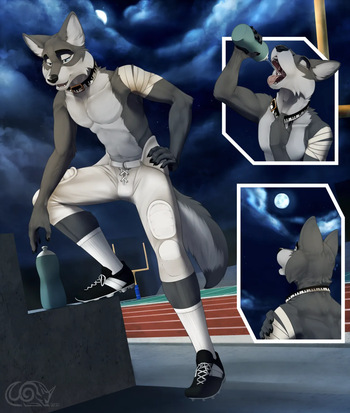 Lycan Linebacker cover