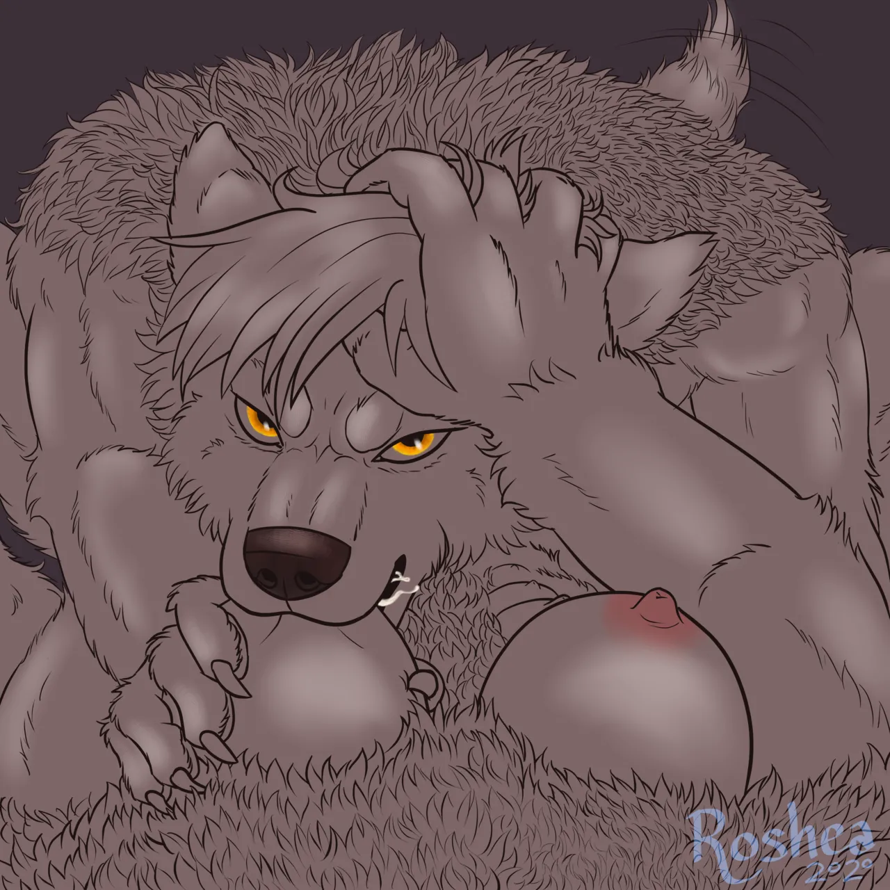 Werewolf POV page 4 full