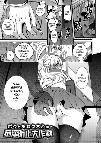 Boku to Onee-san no Chikan Boushi Daisakusen cover