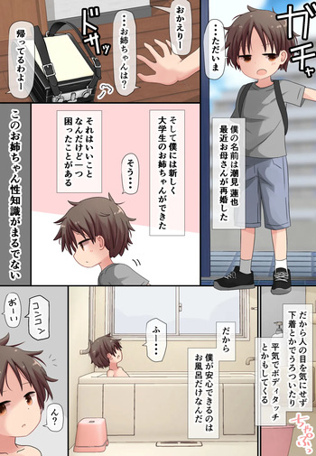 Muchi Onee-san to Shishunki no Shounen cover