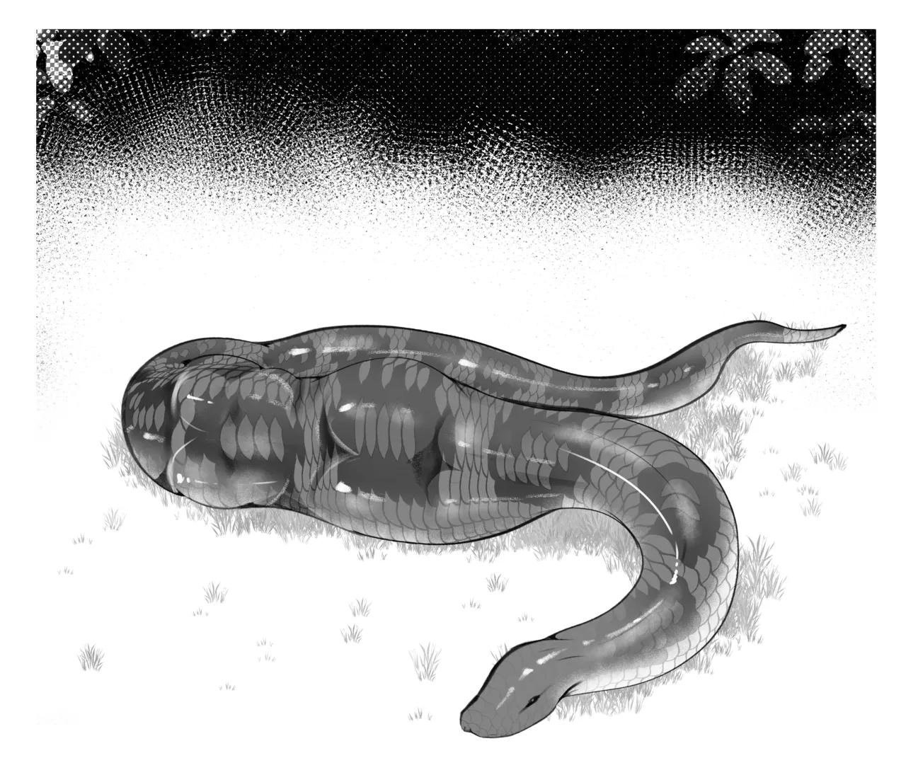 Year of snake page 3 full