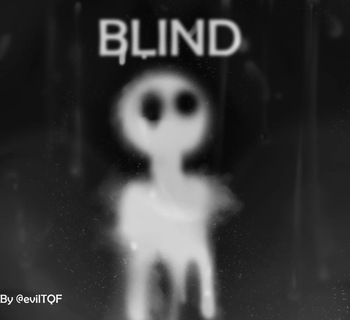 BLIND cover
