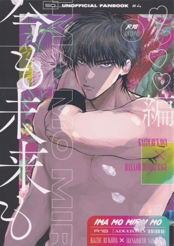 Ima mo Mirai mo Love Love Hen cover