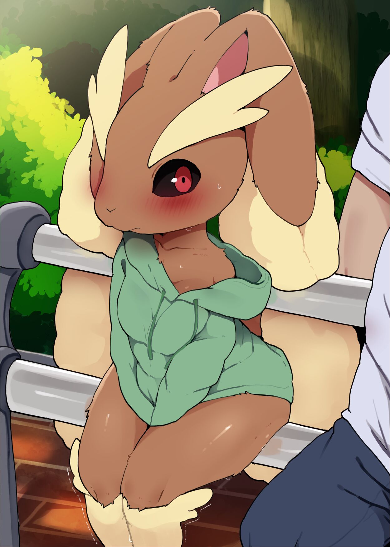 Pokemon - Lopunny Set page 1 full
