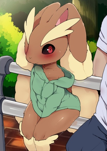 Pokemon - Lopunny Set cover