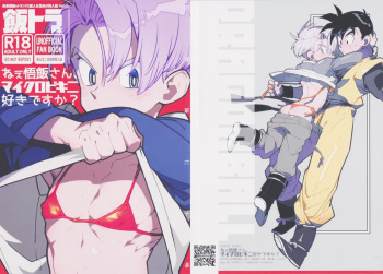 Nee Gohan-san maikurobikini sukidesuka? cover