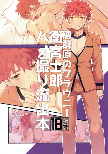 穂群原のブラウニー衛宮士郎ハメ撮り流出本 cover