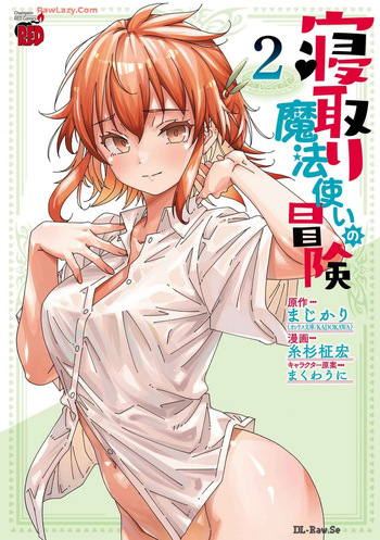 Netori Mahoutsukai no Bouken Volume 2 cover