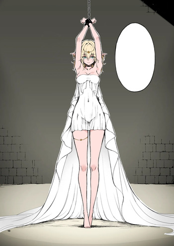 ELF Education. -Boukoku no Mist- cover