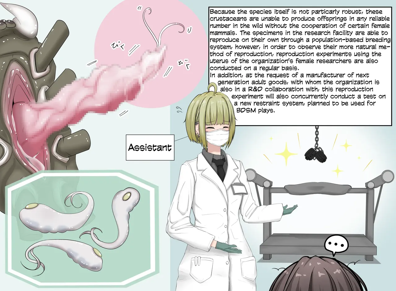 Insect Research Report No.1~23 page 6 full