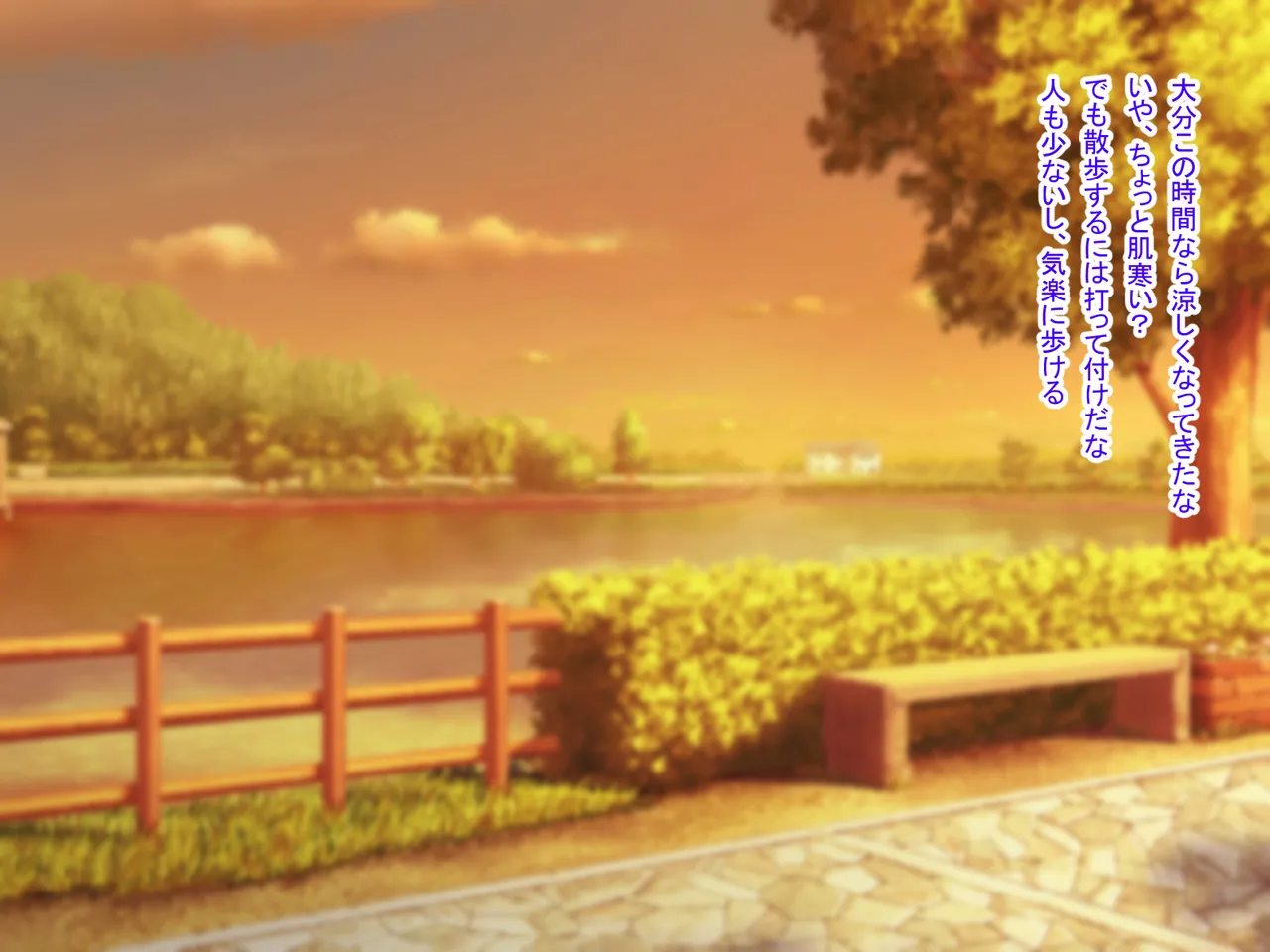 Homeless Onna o Hirottara, Moto Otoko datta!? page 2 full