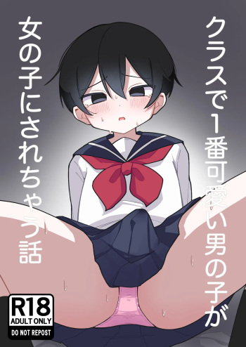 Kurasu de Ichiban Kawaii Otokonoko ga Onnanoko ni Sarechau Hanashi cover