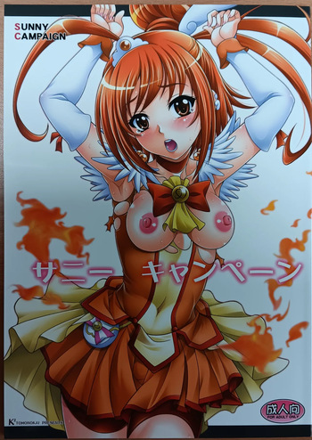 Sunny Campaign cover