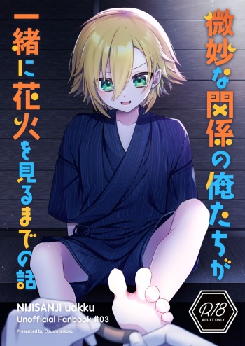 Bimyouna Kankei no Oretachi ga Issho ni Hanabi o Miru Made no Hanashi cover