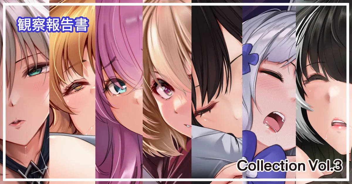 観察報告書 Collection Vol.3 page 1 full