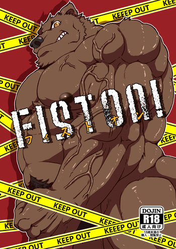 FIST ON! cover