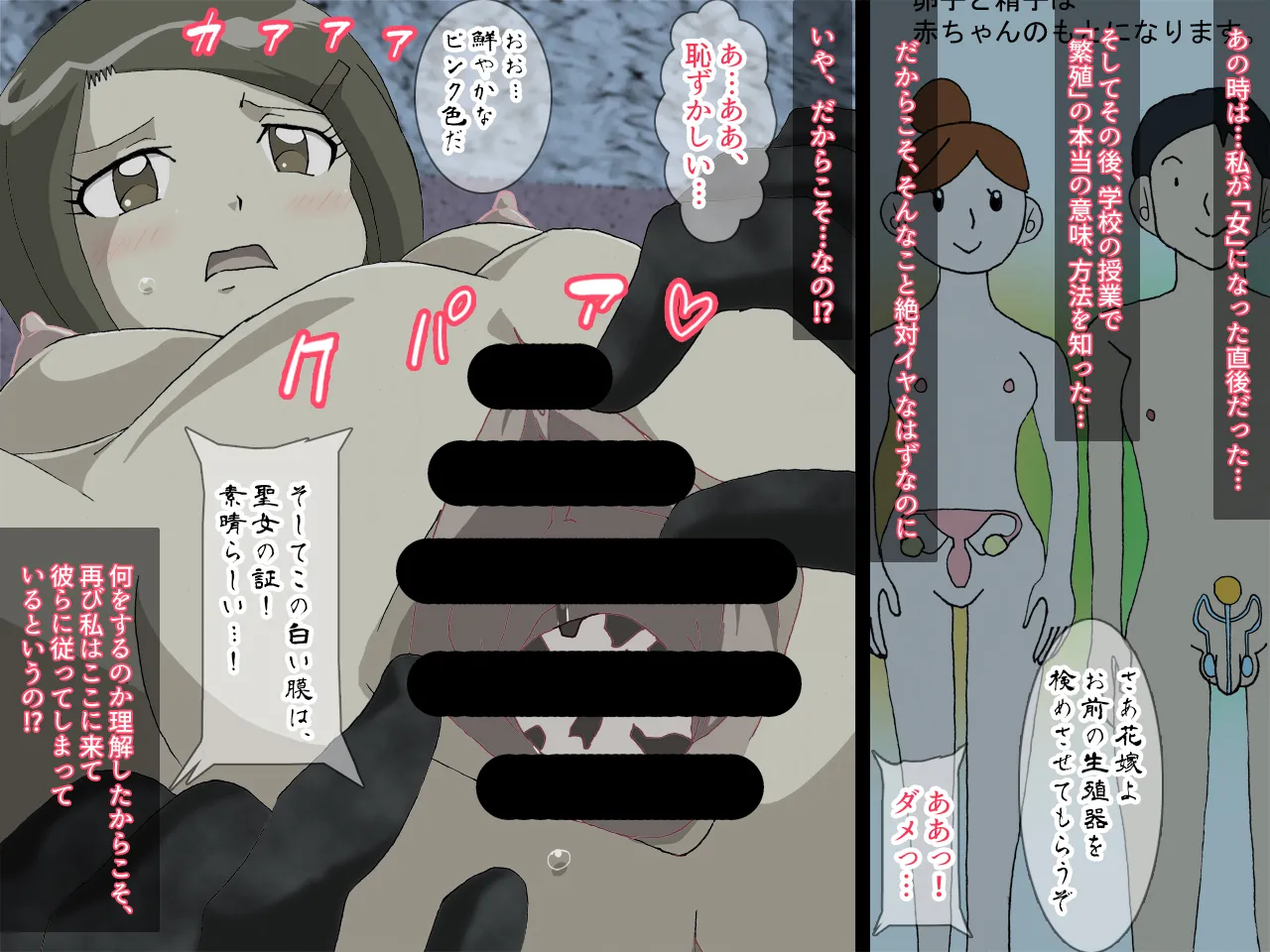 Erabareshi Hanayome Hikari Ishukan Ninshin Sanran Hen page 3 full