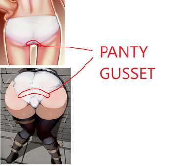 The Gusset Is The Part Of Panties That Covers The Anus cover