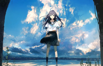 个人向收藏 cover
