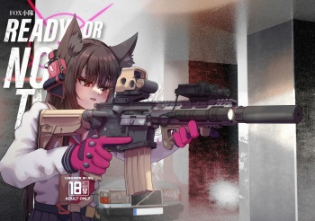 FOX Platoon Ready Or Not cover
