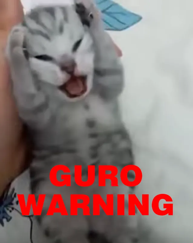 selfuse20250201 page 1 full