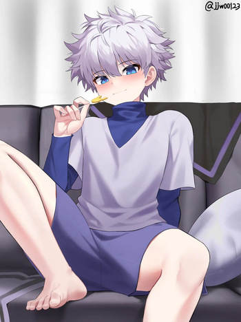 Hunter x Hunter cover