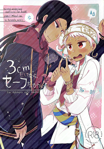 3 CM is Safe! cover