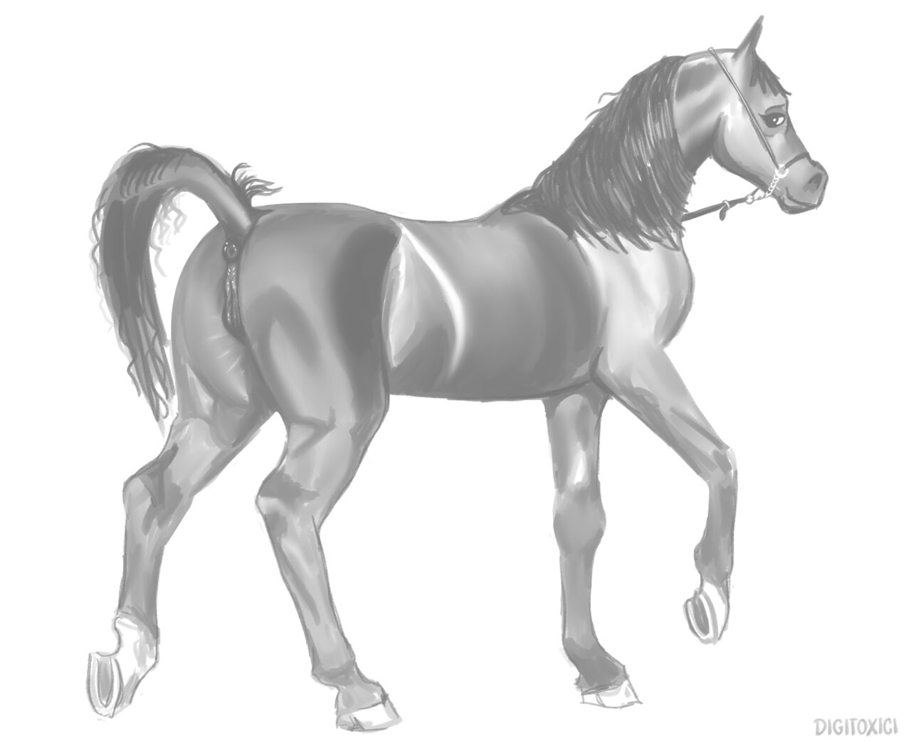 I Can't Watch Mareaconda Because Equibooru Is Down, So Have Some Horse Booty page 8 full
