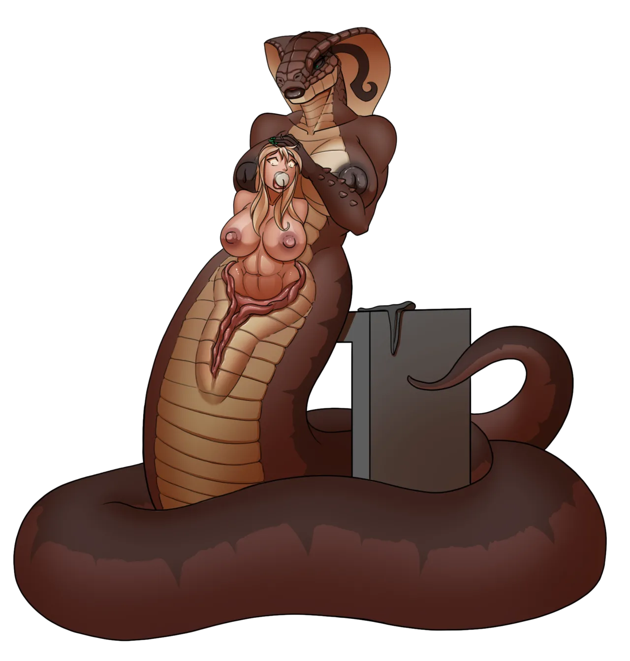 Lifflux TF-Sequence + Alt page 2 full