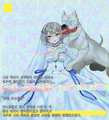 벡터 개 수간 cover